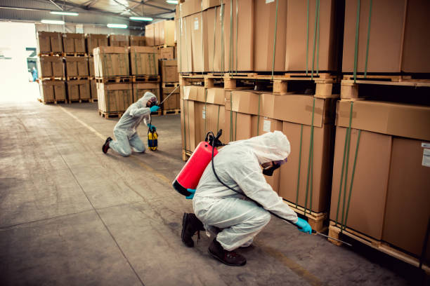 Best Rat Extermination Near Me  in Millington, NJ