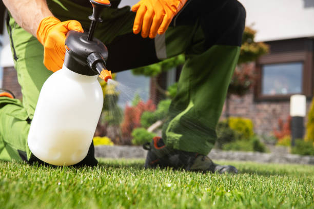 Best Rat Extermination Near Me  in Millington, NJ