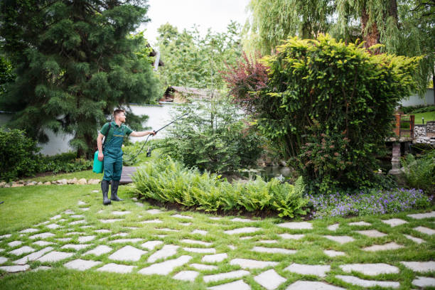 Best Wasp Removal Services  in Millington, NJ
