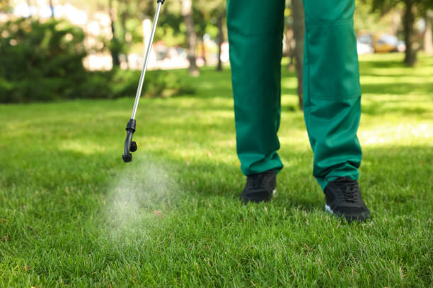 Insect Control in Millington, NJ