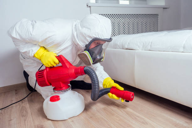 Best Mosquito Control Services  in Millington, NJ