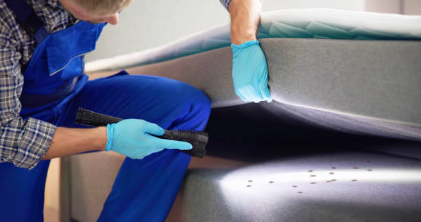 Best Pest Control Near Me  in Millington, NJ