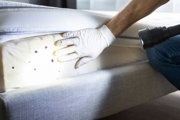 Best Affordable Pest Control Services  in Millington, NJ
