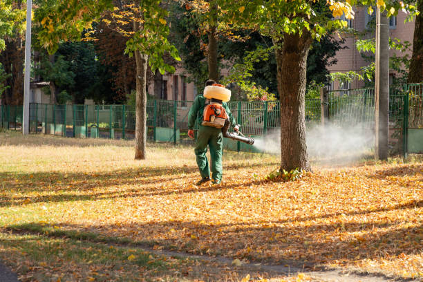 Best Best Pest Control Companies  in Millington, NJ