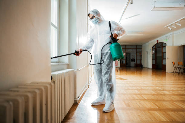 Best Local Pest Control Services  in Millington, NJ