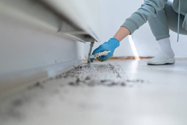 Best Pest Prevention Services  in Millington, NJ