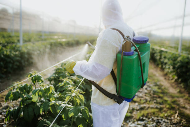 Best Wildlife Control Services  in Millington, NJ